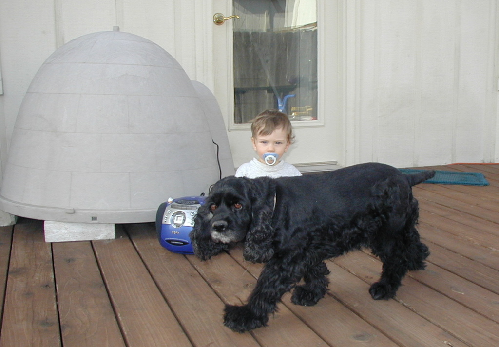 2007/11(November)/Scout-Remembered/1024x768_2002-03-30-Easter-10-Dax-Scout.JPG