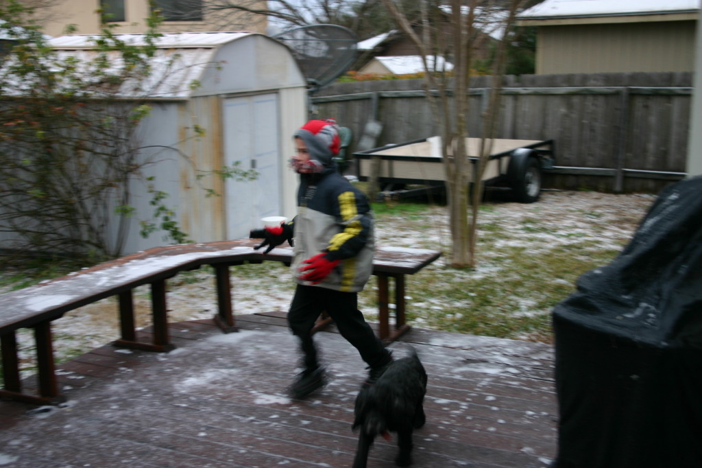 2007/11(November)/Scout-Remembered/1024x768_2007-01-15-Ice-Storm-Austin-1-Chance-Scout.JPG