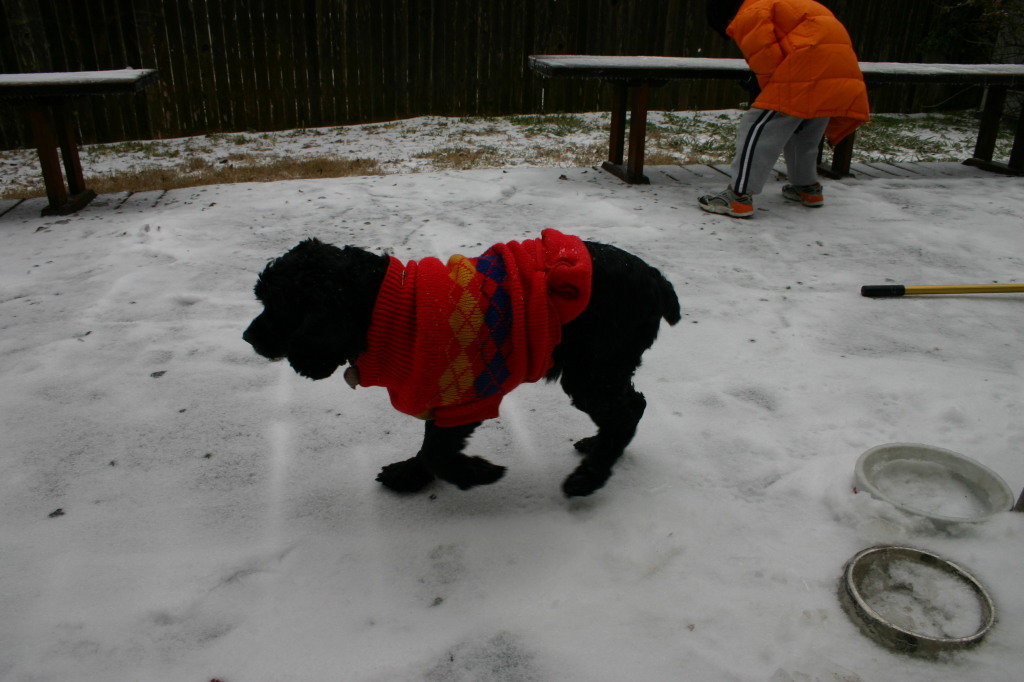 2007/11(November)/Scout-Remembered/1024x768_2007-01-16-Ice-Storm-Austin-6-Scout.JPG