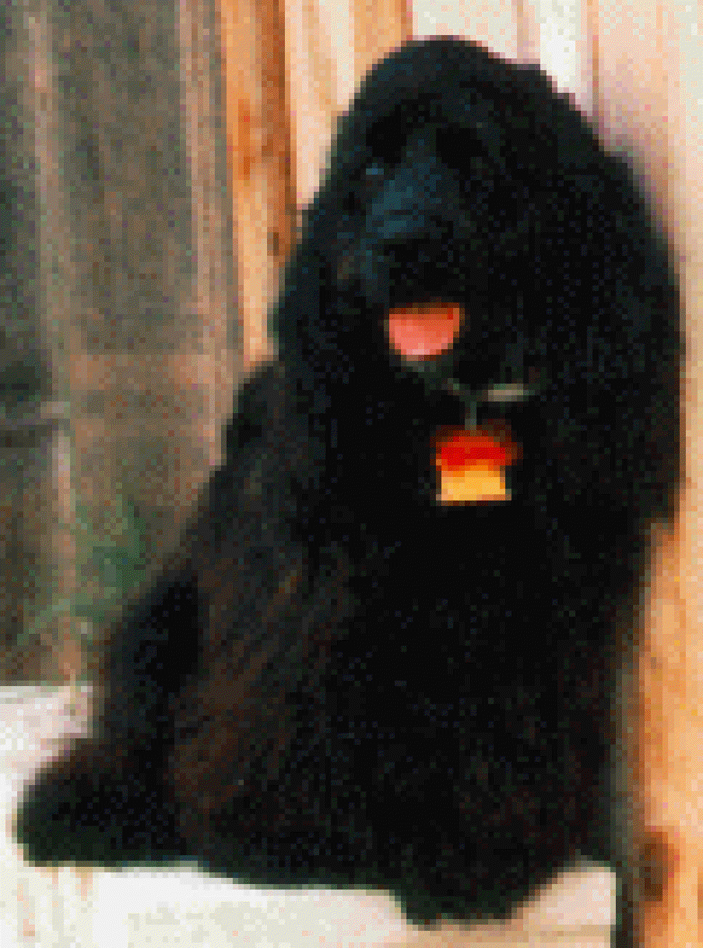 2007/11(November)/Scout-Remembered/1024x768_scout.gif