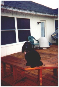 2007/11(November)/Scout-Remembered/1998-12-xmas-zz-scout-deck.JPG