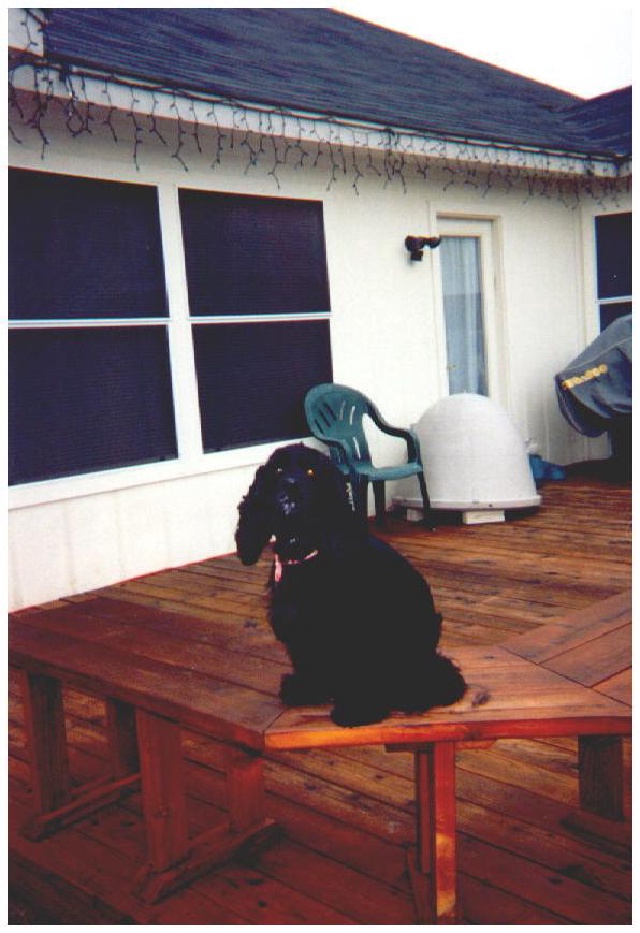 2007/11(November)/Scout-Remembered/1998-12-xmas-zz-scout-deck.JPG