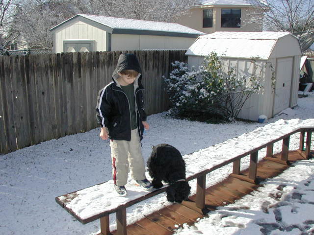 2007/11(November)/Scout-Remembered/640x480_2004-02-14-Snow-in-Austin-07-Chance-Scout.JPG
