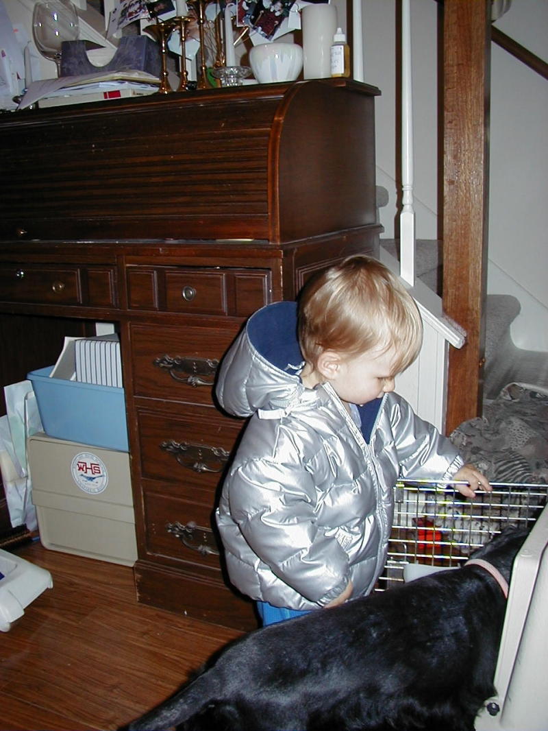 2007/11(November)/Scout-Remembered/800x600_2000-11-10-Chance-Scout-kennel-2.jpg