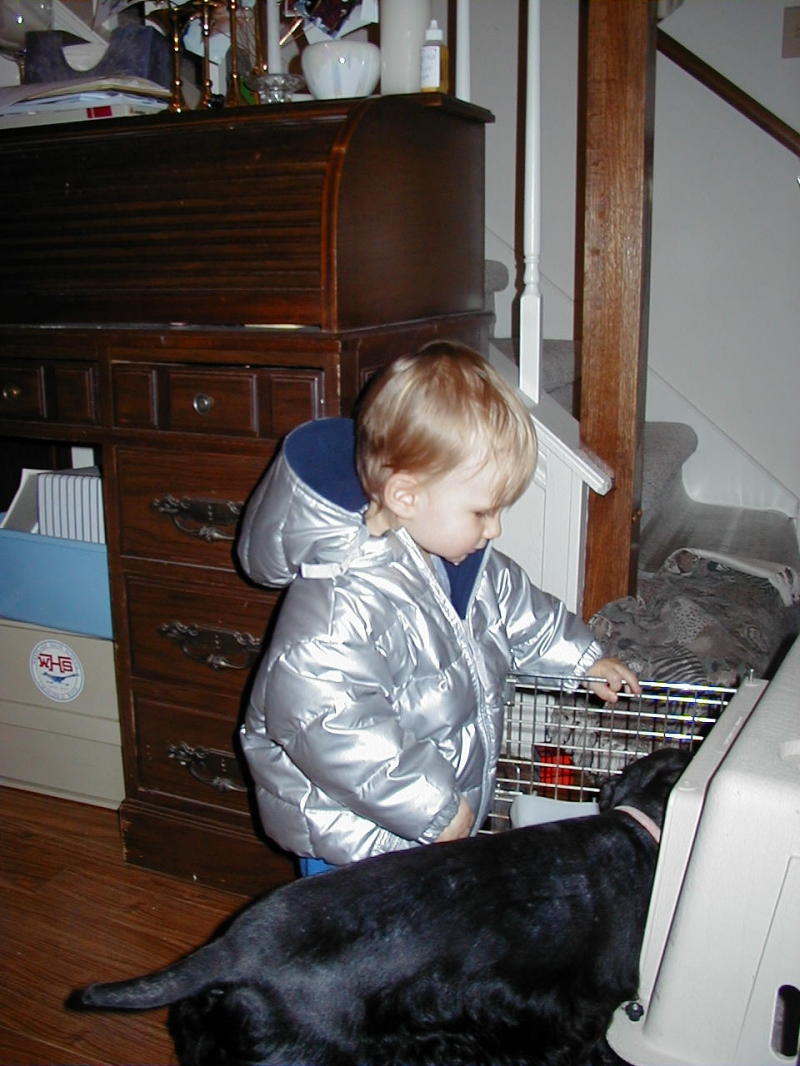 2000-11-10-Chance-Scout-kennel-3.jpg