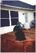 1998-12-xmas-zz-scout-deck.JPG