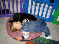 2000-11-23-Thanksgiving-Chance-Scout-07.jpg
