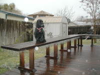 2000-12-13-Frozen-day-in-Texas-Scout-Deck-01.jpg