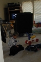 2001-02-18-Chance-Scout-1.jpg
