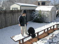 2004-02-14-Snow-in-Austin-07-Chance-Scout.JPG