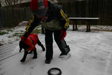2007-01-16-Ice-Storm-Austin-7-Scout-Chance.JPG