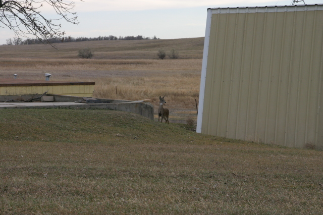 2007/11(November)/South-Dakota-Hunting/640x480_IMG_3533.JPG