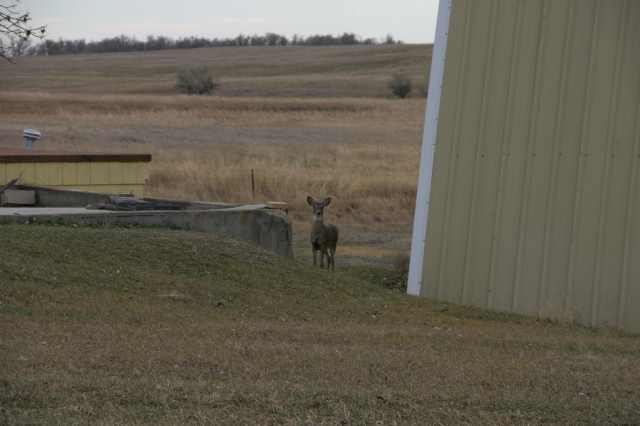 2007/11(November)/South-Dakota-Hunting/640x480_IMG_3536.JPG