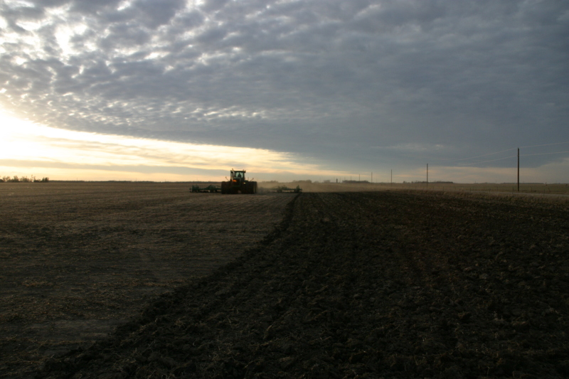2007/11(November)/South-Dakota-Hunting/800x600_IMG_3520.JPG