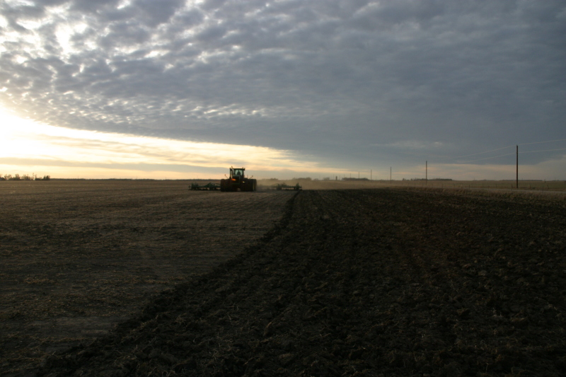 2007/11(November)/South-Dakota-Hunting/800x600_IMG_3521.JPG
