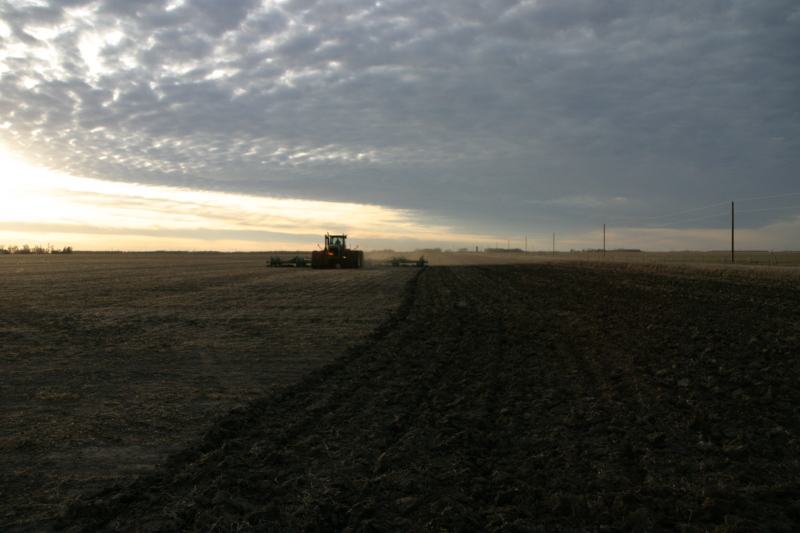 2007/11(November)/South-Dakota-Hunting/800x600_IMG_3522.JPG