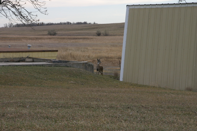2007/11(November)/South-Dakota-Hunting/800x600_IMG_3533.JPG