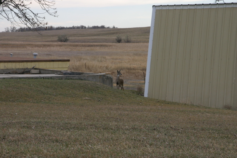2007/11(November)/South-Dakota-Hunting/800x600_IMG_3534.JPG