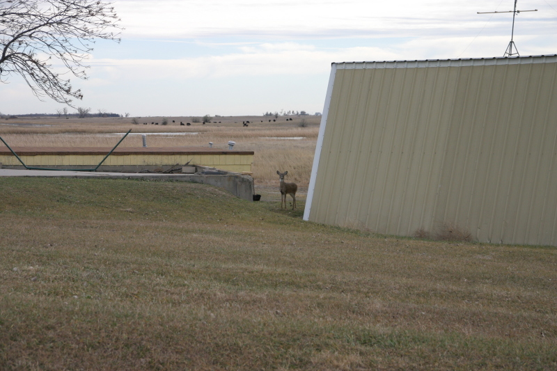 2007/11(November)/South-Dakota-Hunting/800x600_IMG_3541.JPG