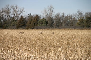 IMG_3514.JPG