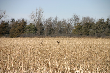 IMG_3516.JPG