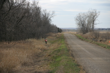 IMG_3546.JPG