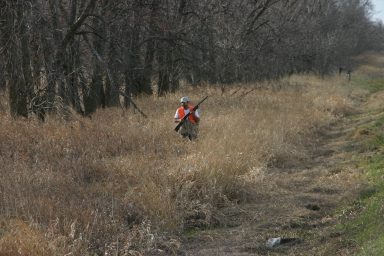 IMG_3550.JPG