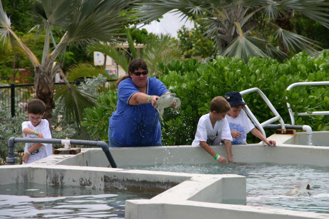 2007-09-25-Disney-Magic-Cruise-34-Grand-Cayman-Turtle-farm-Dax-Stacy-Chance-Jack-GOOD.JPG