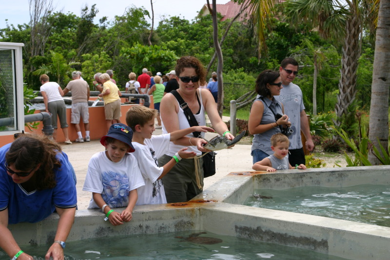 2007-09-25-Disney-Magic-Cruise-08-Grand-Cayman-Turtle-farm-Stacy-Jack-Chance-Suzi-GOOD.JPG