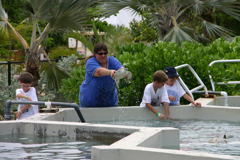 2007-09-25-Disney-Magic-Cruise-34-Grand-Cayman-Turtle-farm-Dax-Stacy-Chance-Jack-GOOD.JPG