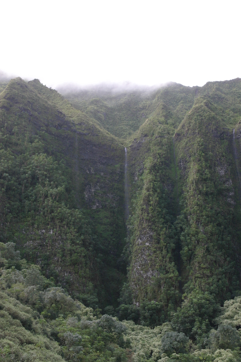 2008/01(January)/Hawaii/Best-of/800x600_2008-01-06-Hawaii-driving-tour-07-waterfall-GOOD.JPG