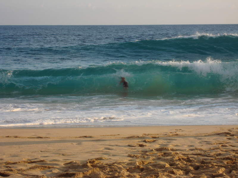 2008/01(January)/Hawaii/Best-of/800x600_2008-01-08-Hawaii-19-Sandy-Beach-Bill-GOOD.JPG