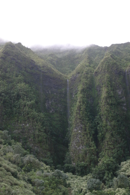 2008-01-06-Hawaii-driving-tour-07-waterfall-GOOD.JPG