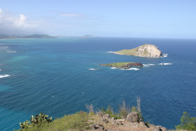 2008-01-11-Hawaii-Lighthouse-Road-25-GOOD.JPG