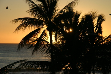 2008-01-18-Hawaii-12-sunset-GOOD.JPG