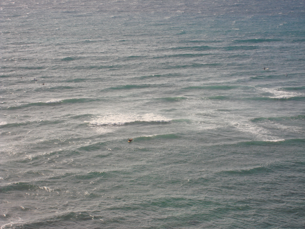 2008-01-04-Hawaii-34-surfers.JPG