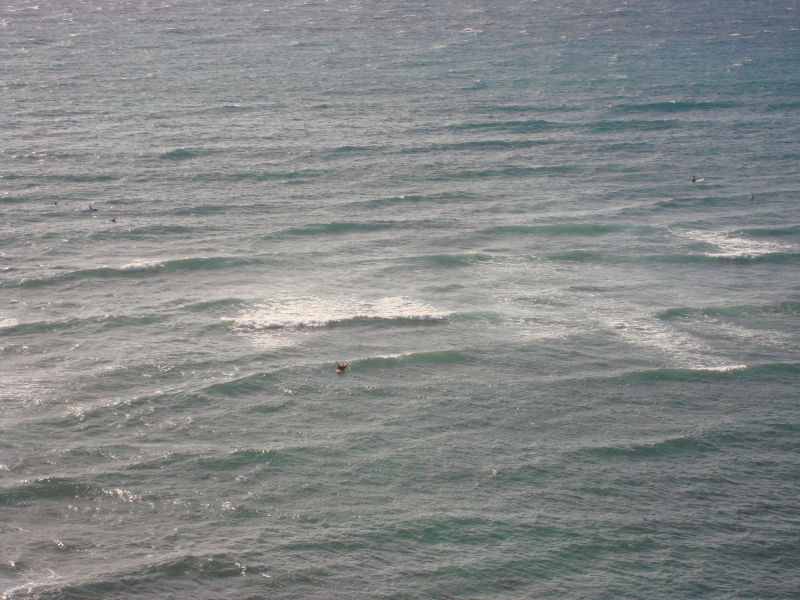 2008/01(January)/Hawaii/Jan04/800x600_2008-01-04-Hawaii-34-surfers.JPG