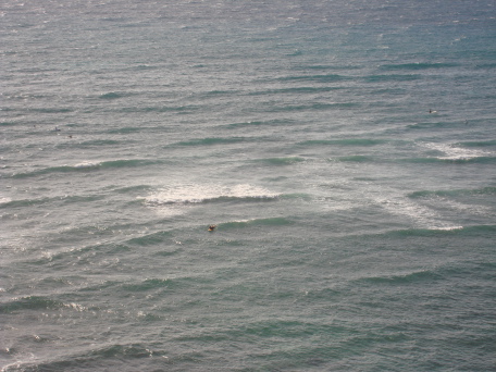 2008-01-04-Hawaii-34-surfers.JPG