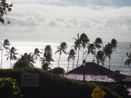 2008-01-04-Hawaii-35.JPG