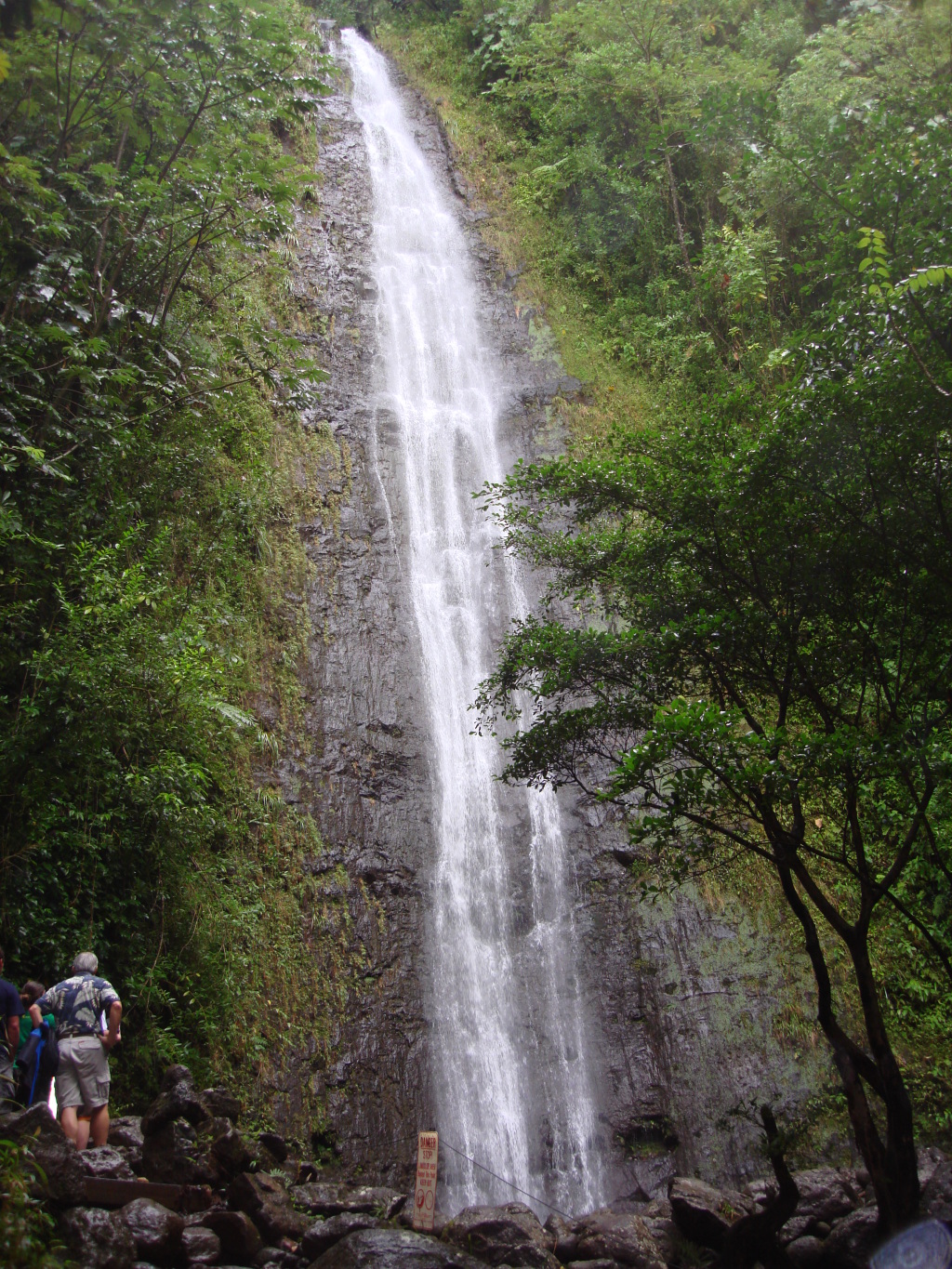 2008/01(January)/Hawaii/Jan05/1-Manoa-Falls/1024x768_2008-01-05-Hawaii-Manoa-Falls-09.JPG