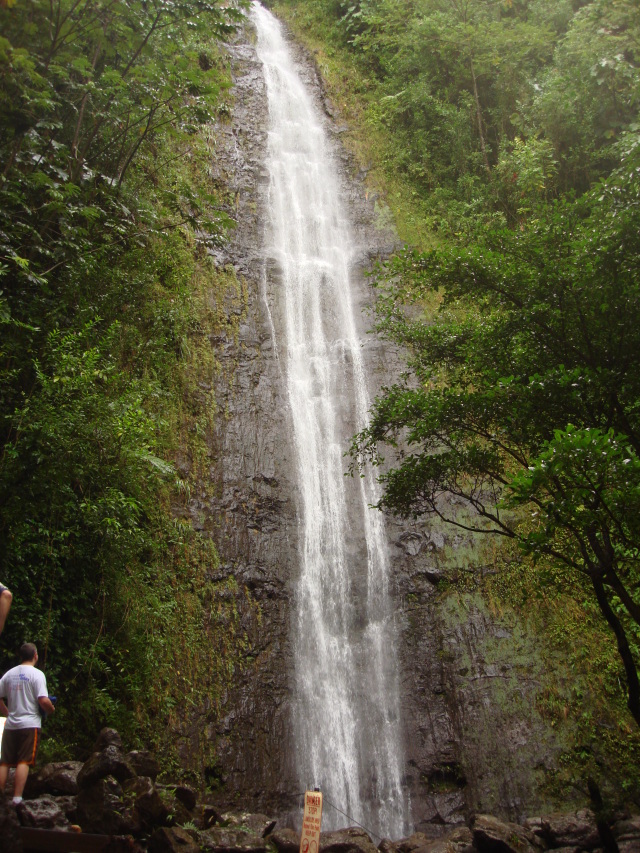 2008-01-05-Hawaii-Manoa-Falls-08-Bill.JPG