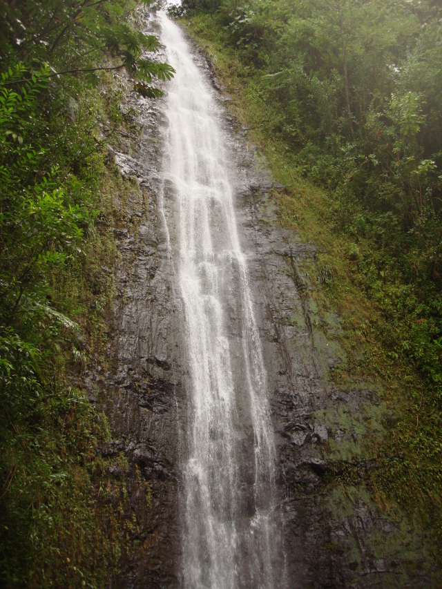 2008/01(January)/Hawaii/Jan05/1-Manoa-Falls/640x480_2008-01-05-Hawaii-Manoa-Falls-14.JPG