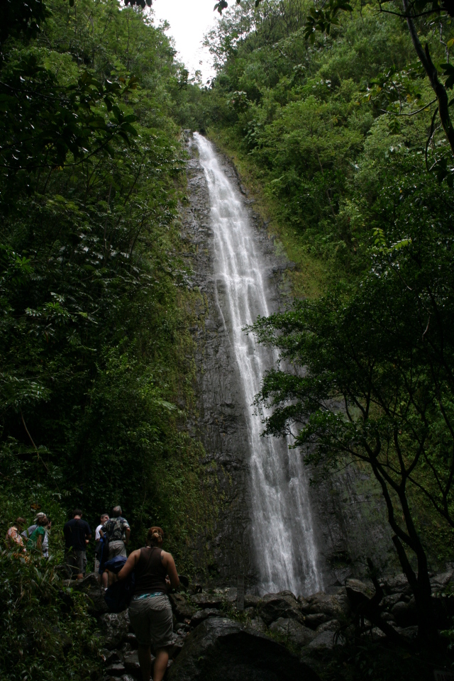 2008-01-05-Hawaii-Manoa-Falls-29-Livia.JPG