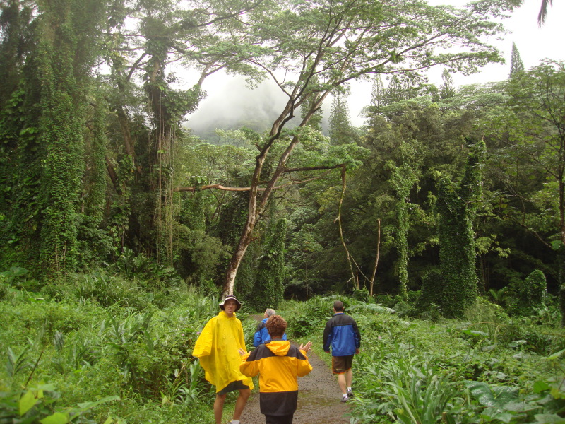 2008/01(January)/Hawaii/Jan05/1-Manoa-Falls/800x600_2008-01-05-Hawaii-Manoa-Falls-02-Travis-Bill.JPG