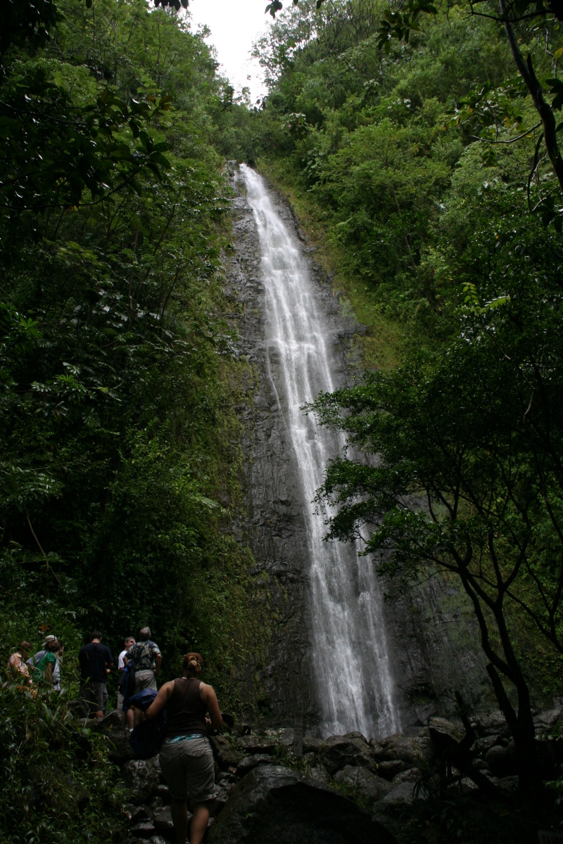 2008/01(January)/Hawaii/Jan05/1-Manoa-Falls/800x600_2008-01-05-Hawaii-Manoa-Falls-29-Livia.JPG