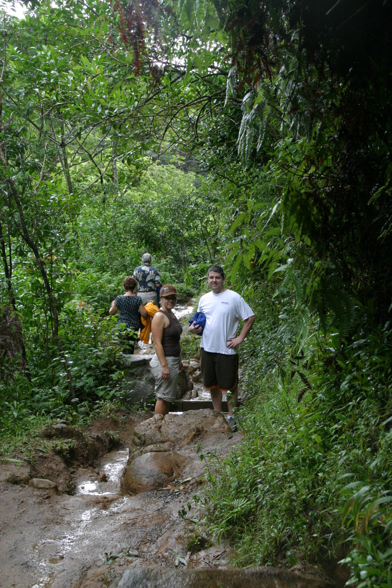 2008/01(January)/Hawaii/Jan05/1-Manoa-Falls/800x600_2008-01-05-Hawaii-Manoa-Falls-37-Bill-Livia.JPG