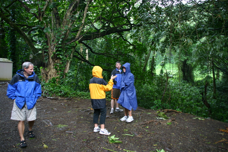 2008/01(January)/Hawaii/Jan05/1-Manoa-Falls/800x600_2008-01-05-Hawaii-Manoa-Falls-40-Bill-Livia.JPG