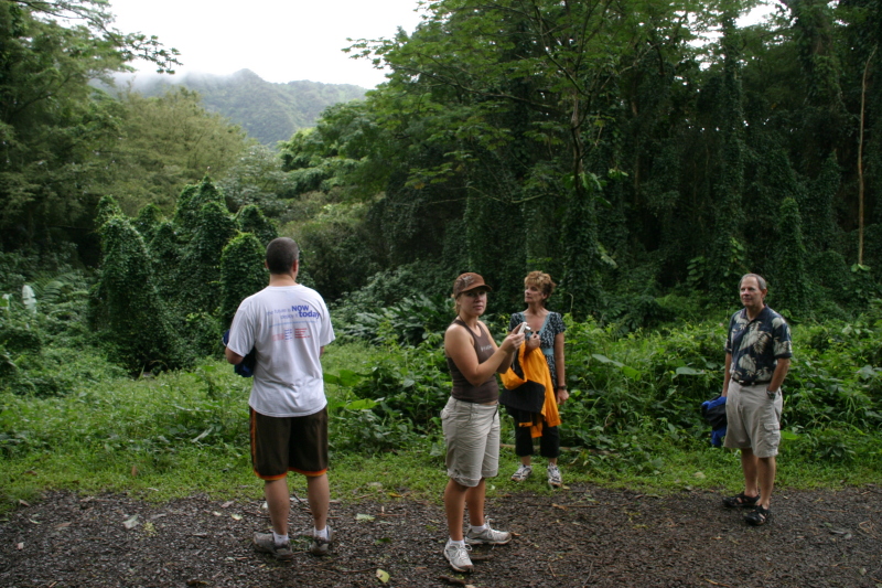 2008/01(January)/Hawaii/Jan05/1-Manoa-Falls/800x600_2008-01-05-Hawaii-Manoa-Falls-60-Bill-Livia.JPG