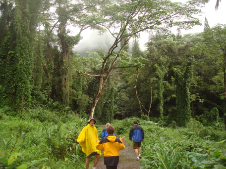 2008-01-05-Hawaii-Manoa-Falls-02-Travis-Bill.JPG