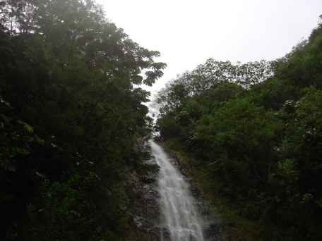 2008-01-05-Hawaii-Manoa-Falls-15.JPG